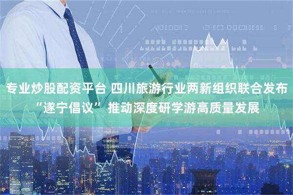 专业炒股配资平台 四川旅游行业两新组织联合发布“遂宁倡议” 推动深度研学游高质量发展