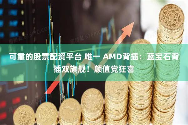 可靠的股票配资平台 唯一 AMD背插：蓝宝石背插双旗舰！颜值党狂喜
